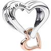 Rimgoris 925 Charm in argento sterling per donne Bracciali Collana Infinity Cuore Famiglia Chiusura Catena di sicurezza Cane Stampa & Moneta Famiglia&Amici per sempre Amicizia Casa Mongolfiera