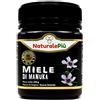 MANUKA HEALTH MIELE DI MANUKA MGO550+ 250 G