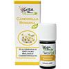 Gisa Wellness - CAMOMILLA ROMANA - Olio Essenziale Bio 100% Puro e Naturale - [2ml] - Per Aromaterapia, Massaggi, Relax, Cura della Persona
