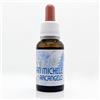 Laboratorio d'Erbe Sauro Olio di San Michele Arcangelo, Olio di Cocco e Mandorle Dolci, Olii Essenziali di Geranio, Incenso, Sandalo, Garofano, Cannella, 20 ml, Prodotto 100% Naturale (20 ml)