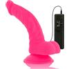 DIVERSIA Vibratoreper donna telecomando | dido vibrante donne | toys sesso per coppia vibratore fallo per penetrazione punto g clitoride e massaggio prostatico