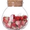 Bamboopack 500ml Vasetto di vetro rotondo trasparente a tenuta d' aria con tappo di sughero contenitore di Caddy Vase bottiglia a piccola sfera Canister in sughero, per spezie, snack, fiori, tè, caramelle