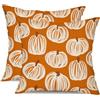DIELOVEHUA 2 Pezzi Federe per Cuscini Autunnali, Zucca Federe Autunnali 45 x 45 cm, Decorativi Cuscini Divano in Lino per Ringraziamento Halloween Divano Sedia Camera da Letto (B)