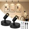 Dehobo Faretto LED Wireless Ricaricabile da 4000 mAh - Lampada da Parete Ricaricabile Per Interni con Timer e Tre Colori, Luminosità Regolabile - Rotazione a 350°, Adatta per Piante, Confezione da 2