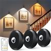 WILLED Luce per Quadro Senza Fili Ricaricabile, Faretto per Quadri a Batteria, Applique LED da Parete,3 Temperature Di Colore, Applique Quadro Luci per Esposizione Pittura Vetrina（3 Pezzi, Nero）