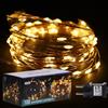 ANSIO Fata Luci natalizie Micro 100 LED interni luci di Natale, Caldo bianco micro luci-cassaforte extra bassa tensione alimentato-10m di lunghezza illuminata -Cavo di rame