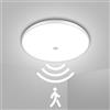 Litglobe Plafoniera LED Soffitto con Sensore di Movimento 24W,6500K Bianco Freddo Lampada da Soffitto,2400LM Ø26cm Plafoniera Rotonda LED,Luce per Portico, Balcone, Corridoio, Scale, Ripostiglio, Garage