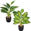 Aevcvok Set di 2 Piante Artificiali Decorative per Interni, 37CM Piante Finte Interno Piante Plastica per Decorazione Interna Esterna di Casa, Ufficio, Giardino, Soggiorno, Tavolo e Scrivania,A