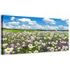 Generico Campo di margherite e fiori viola - Quadro stampa su tela con telaio in legno - 100x50 cm