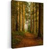 MuchoWow© Quadro su Tela Stampe da Parete Quadri Camera da Letto Dipinto | 50x70 cm - Arredamento Casa Foresta - Natura - Alberi - Paesaggio - Foglie