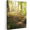 MuchoWow© Quadro su Tela Stampe da Parete Quadri Cucina Camera da Letto | 50x70 cm - Dipinto Arredamento Casa Foresta - Albero - Sentiero - Sole - Piante - Foglie - Natura