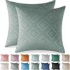 Ystyle Federe Cuscini Divano in Velluto 40x40 2 Pezzi, Copri Cuscini per Divano Natalizie, Arredo Copricuscini Camera da Letto, Federe Casa Elegante Morbido con Cerniera Invisibile, Verde Chiaro