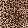 Yulakes Motivo leopardato, tessuto in velluto patchwork, tappezzeria, motivo giungla selvaggia, tessuto decorativo per trapuntare, tessuto di raso, per fai da te, cucito, decorazione, 100 x 150 cm