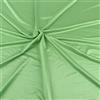 Generic Tessuto elasticizzato Milliskin lucido a 4 vie, super elastico, al metro, colore: verde chiaro