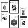 Nacnic set di 6 poster con illustrazioni di frutta. Collezione di fogli con disegni in bianco e nero per la decorazione d'interni. Formati A3 e A4. Senza cornice.