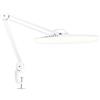 Neatfi Lampada LED da Scrivania con Morsetto, 2200 Lumen, CCT (Bianco) | Dimmerabile, Temperatura colore regolabile, 4 livelli di luminosità, ideale per home office e hobby