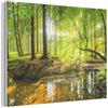 MuchoWow© Elemento Feltro Interni Moderni Soggiorno Pannello Creativo | 100x70 cm - Camera Arredo Cornice Bosco - Paesaggio - Acqua - Alberi - Sole - Verde - Natura