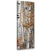 Feeby Quadro Tela Non Tessuta Boschi Di Betulla 40x120 cm Foto Stampa Moderna Pronta Per Essere Appesa Natura Autunnale beige