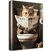 HALFLEMART Gatto divertente Quadri Moderni Quadro Moderno Gattino Gatto Leggere il giornale sulla toilette Stampa su Tela Con Cornice Pittura Quadri su tela Quadretti da Parete Soggiorno Bagno 30x40cm