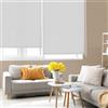 Blindecor Ara | Tenda a rullo traslucida tinta unita - Argento grigio, 160 x 250 cm (Larghezza x Altezza) | Dimensioni del tessuto 157 x 245 cm | Tenda per interne
