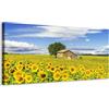 Generico Panorama campo di girasoli- Quadro stampa su tela con telaio in legno - 80x40 cm