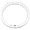 Fbright Led Tubo Led Circolare Diametro 300mm G10Q 16,5W 6500K Connessione diretta alla rete