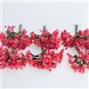 C.X.Y. 144 bacche (Set 12 Fiori da 12 pistilli bacche) bomboniera confezione scatola fiore fai da te (ROSSO)