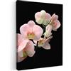 MuchoWow© Stampe su Tela moderne Quadro Moderno Soggiorno Quadretti da | 50x70 cm - Parete Room Decor Orchidea - con Fiori - Rosa - Natura morta - Flora