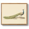 MHARTK66 Quadri Moderni Stampe da Parete vintage Paesaggio 30x40 cm | animali, tela, stampa hd, facile da appendere, montaggio rapido, decoro classico, uso versatile, indicato come dono creativo