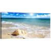 canvashop Quadri Moderni Soggiorno Mare Conchiglia 120X60 cm | Quadro Su Tela Canvas, Stampe Da Parete