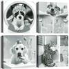 Artscope Stampe e Quadri su Tela 4 pz. Carino Cane Gatto Immagine Fotografia Murale Tela Wall Art Bel Regalo per Home Decor Ristorante Cucina Regalo di Anniversario Compleanno 30x30CM