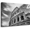 GP TONER Quadro su tela Roma Colosseo bianco e nero 70X50