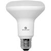 BENEITO FAURE LAMPADA LED FARETTO BENEITO FAURE R-90 12W R-LINE E27 3000K CALDA 120°