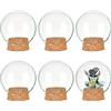 BENECREAT Set di 6 barattoli decorativi in vetro con coperchio a cupola, 64,5 x 70,5 mm, a forma di campana, con base in sughero, per bomboniere, arte e piccoli progetti interni, diametro: 39 mm