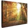 MuchoWow© Stampa Foto Quadro Moderno Quadri Moderni Soggiorno Con Cornice | 70x50 cm - Stampe Da Parete Camera Da Letto CanvasForesta - Autunno - Sole - Paesaggio - Natura - Alberi - Foglie