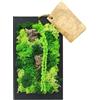 I GIARDINI DI GIULIA - Quadro da Parete in Muschio Stabilizzato | Manutenzione Zero | Design Elegante | Dimensioni Compatte 14,5x24,5 cm | Arredo Naturale | Cornice Nera, Legno