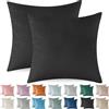 Ystyle Federe Cuscini Divano 40x40 2 Pezzi, Copricuscino Divano in Velluto, Copricuscino Divano Natalizie, Lavabili Resistenti Antiacaro Traspirante, con Cerniera Nascosta, Nero
