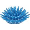 sicilia bedda - RICCIO DI MARE IN CERAMICA SICILIANA - Prodotto da Parete o Soprammobile - Prodotto Artigianale (12x4 Azzurro)