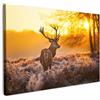 MuchoWow© Quadri Moderni Soggiorno su Tela Quadro Canvas Foto Dipinti | 90x60 cm - Camera da Letto Decorazioni Pareti Cervo - Animali - Tramonto - Inverno - Erica - Natura