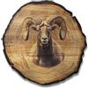 DARO Design - Quadro da parete Ariete misura 20 cm - Stampa artistica pronta da appendere - Decorazione da parete a tema caccia, natura, animali