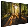 MuchoWow© Stampa Foto su Tela Quadro Moderno Soggiorno Quadretti da Parete | 120x80 cm - Decorazioni Casa Sole - Albero - Foresta - Paesaggio - Natura