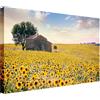 Wallazz Quadri Moderni Soggiorno Paesaggio di campagna, Fiori - 100% Made in Italy - Stampa su Tela - Quadro Camera da Letto - Qualità Artigianale - 70x140cm