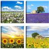 LuxHomeDecor Set di 4 quadri 30x30 cm - stampa su tela con telaio in legno - Campi di fiori: lavanda, girasoli, margherite e paesaggi rurali colorati