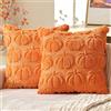 Pipihome Federa per Cuscino Autunnale, 2 Pezzi Federe Alla, 45 x 45 cm Federa in Morbido Peluche, Cuscini a Forma di Zucca Decorazione di Halloween Soggiorno, Divano, Thanksgiving