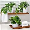 Generic 3 pezzi Piante Artificiali in Vaso Decorazione per Interni in Vaso Bianco Piante Finte Realistiche Finte Piante Sospese Accessori Verdi Naturali per Giardino per Casa Camera da Letto Ufficio Tavolo