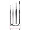 Raphael Pennello Softaqua Serie 845 Vegani n. 2 4 10 14 Set 4 pezzi
