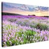MuchoWow© Quadro su Tela Stampe da Parete Quadri Cucina Camera da Letto | 120x80 cm - Dipinto Arredamento Casa Fiori - Lavanda - Viola - Cielo - Tramonto - Prato - Natura
