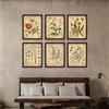 GLWDME Set di 6 quadri da parete vintage da 20 x 25 cm, motivo botanico e fiori di campo, stampe su tela e poster, immagini da parete per soggiorno e camera da letto (senza cornice)