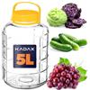 KADAX Cucumber Glass con cochio, Barattolo di Muratore, conservazione ermetica, Palloncino di Vetro, Vetro Universale, Vetro di stoccaggio cetrioli, stoccaggio, Bicchiere di stoccaggio, Vetro (5L)