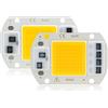 LIGHBIB 2Pcs 110V 220V Chip LED 10W 20W 30W 50W Chip COB Nessun Driver Necessario Perline Lampada LED Per Faretto Luce Di Inondazione Illuminazione Fai Da Te,30W,220V